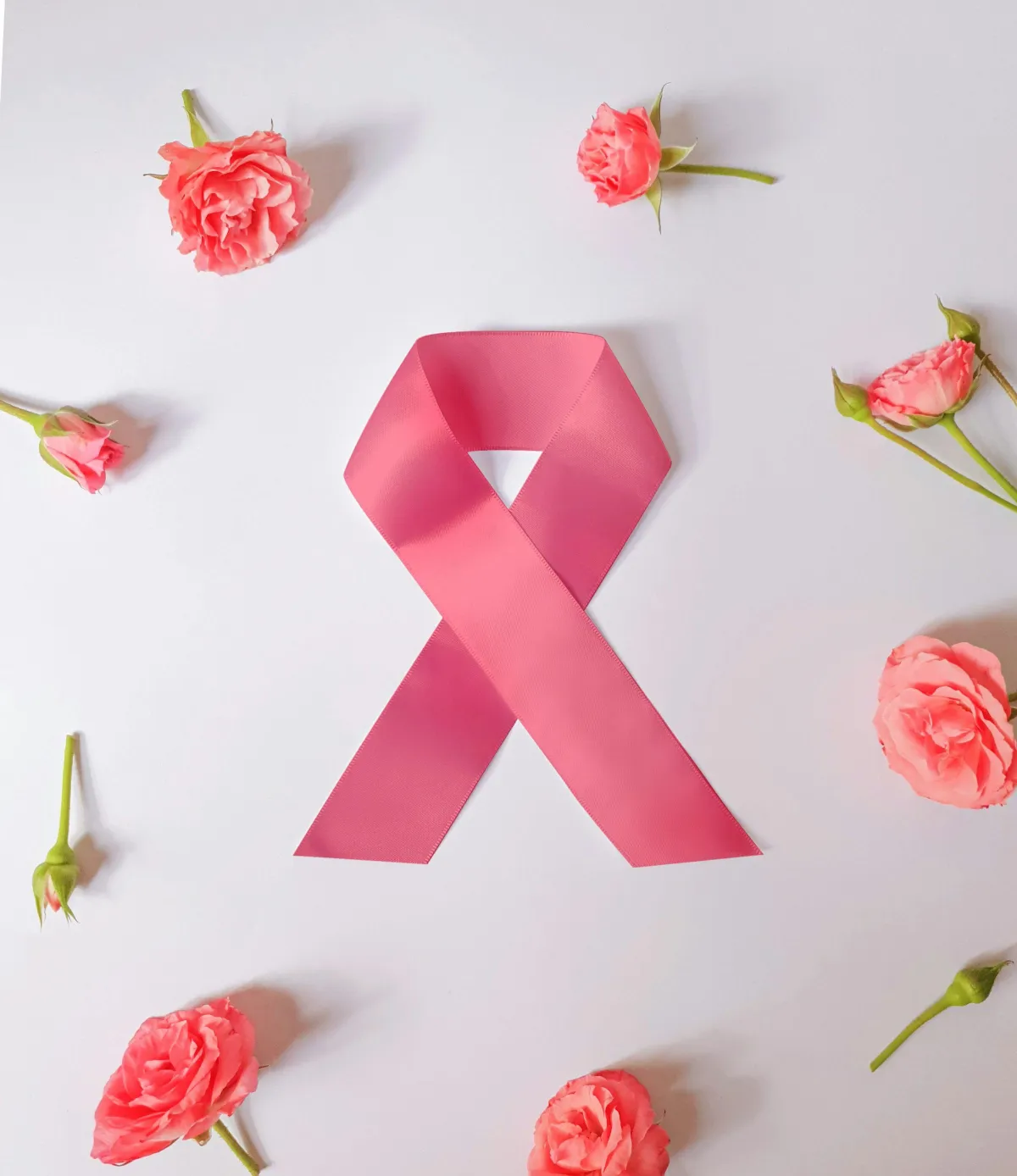 Pink Breast Cancer Awareness Ribbon and pink carnations