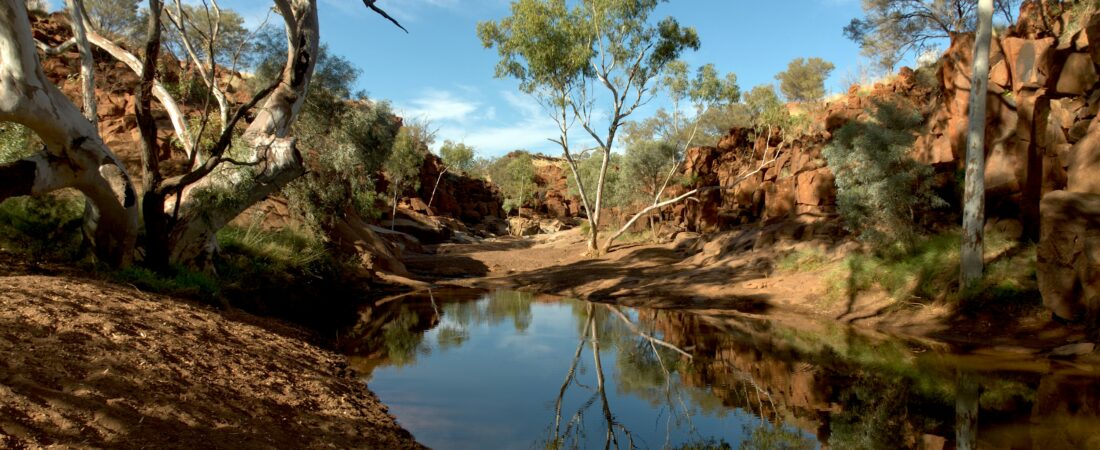 Reflecting on Australia Day: Gratitude, Awareness, and Hope