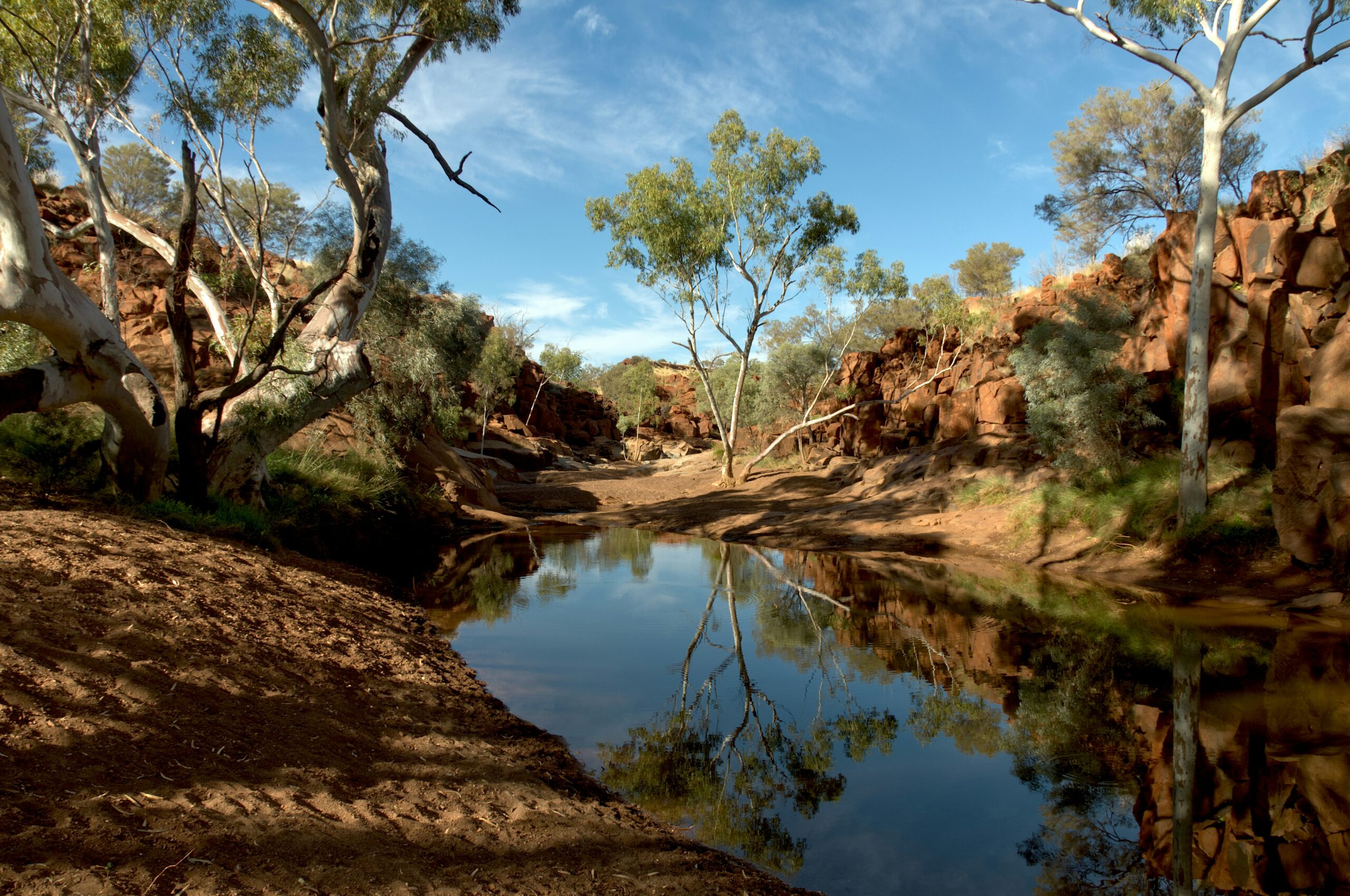 Australian Bushland and creek