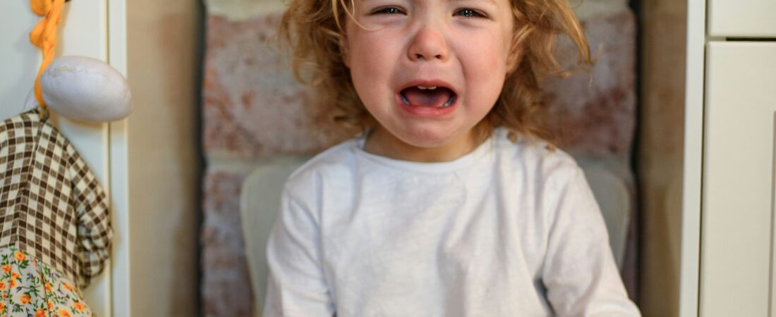 The Truth About the “Terrible Twos”: A Brain-Based Guide for Parents