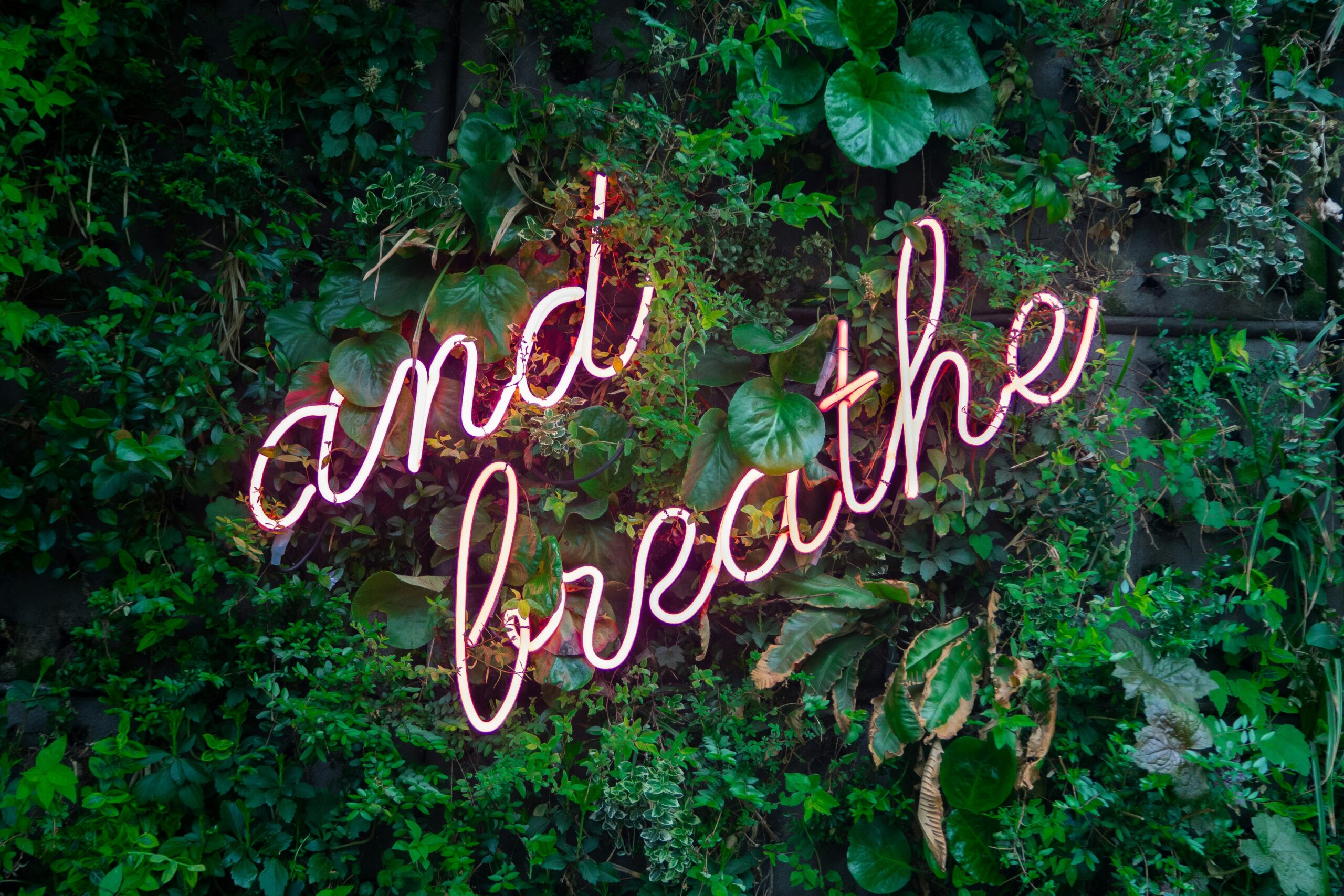 and breathe words on a leafy background