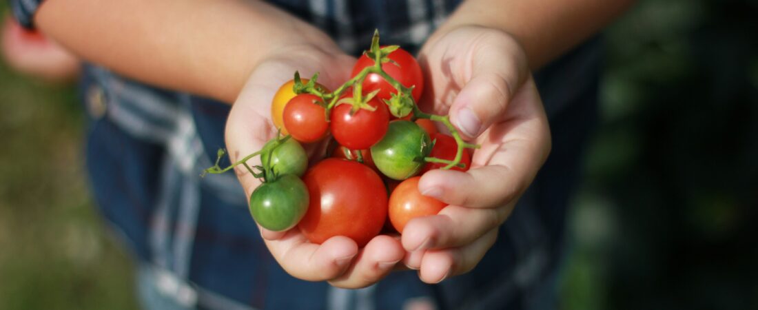 More Than a Garden: Growing Food, Flowers and Family Moments